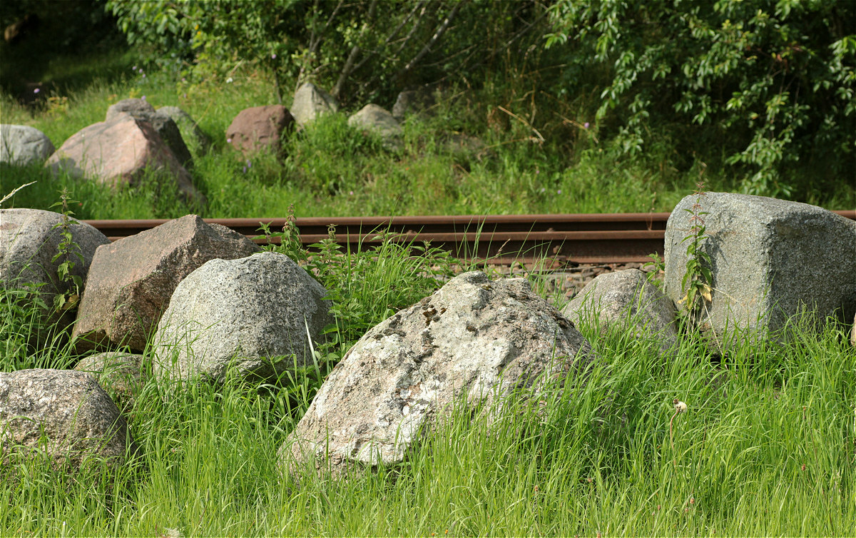 Geschiebehaufen makro.jpg