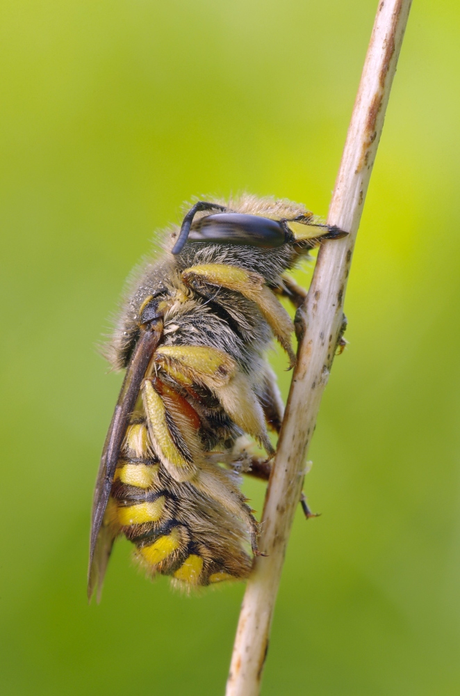 2011_07_k5_p7439_ww_739.jpg