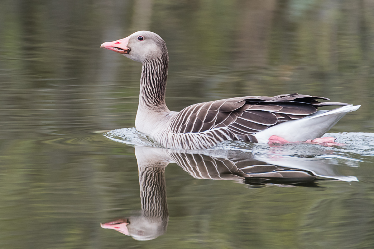 D75_9925.JPG