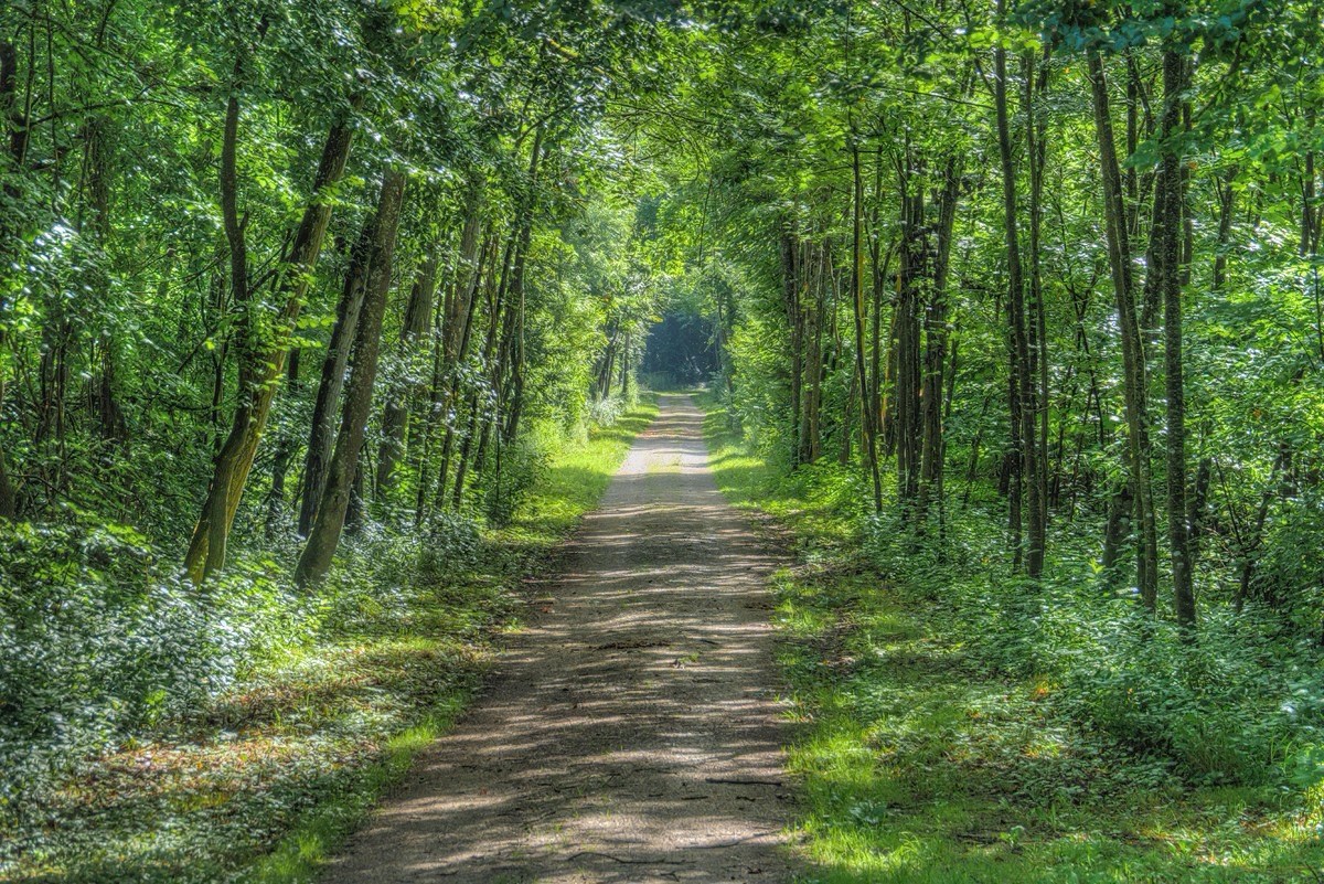 DSC01636_7_8_tonemapped.jpg