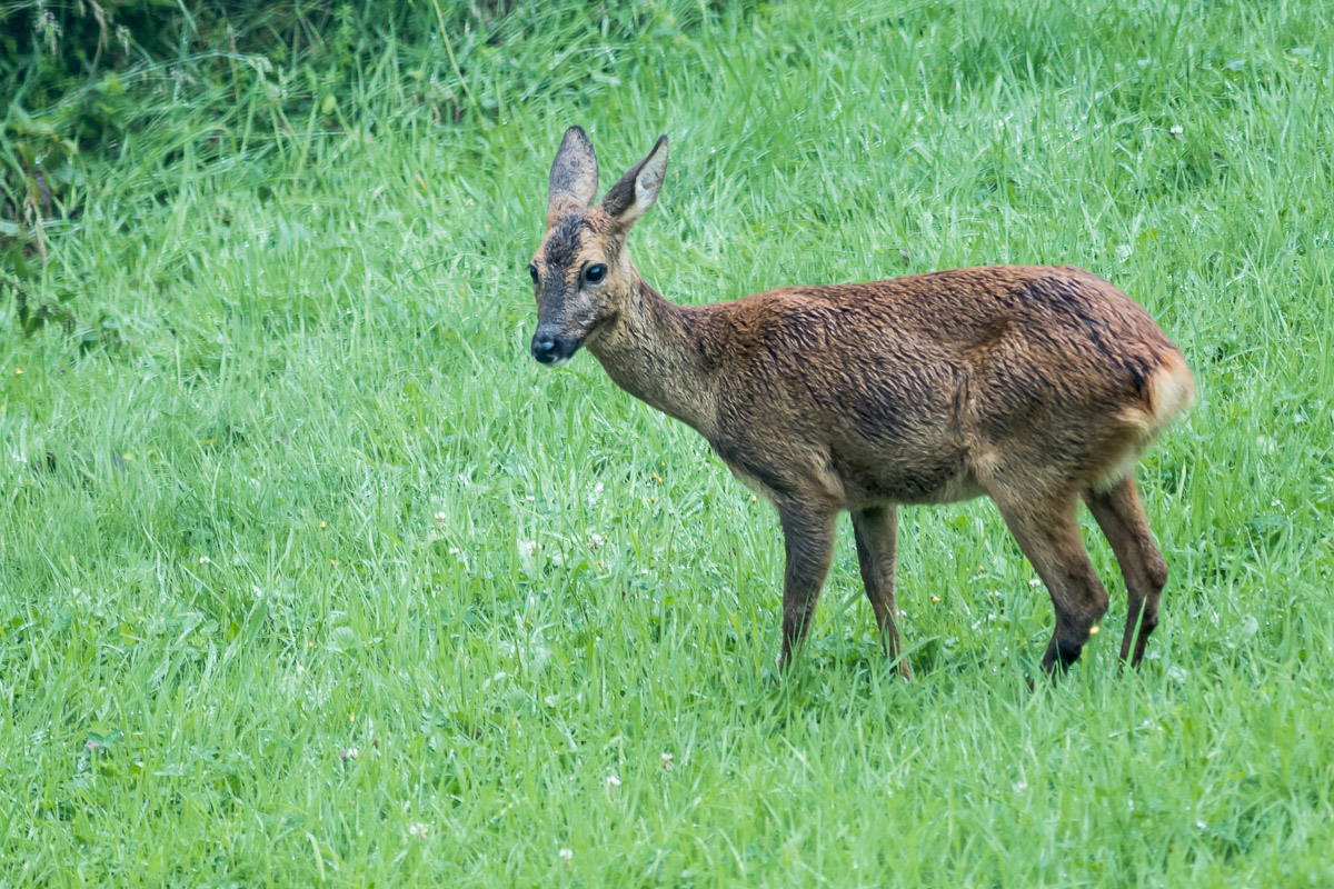 IMG_2459_Beschnitt5%5%_.jpg
