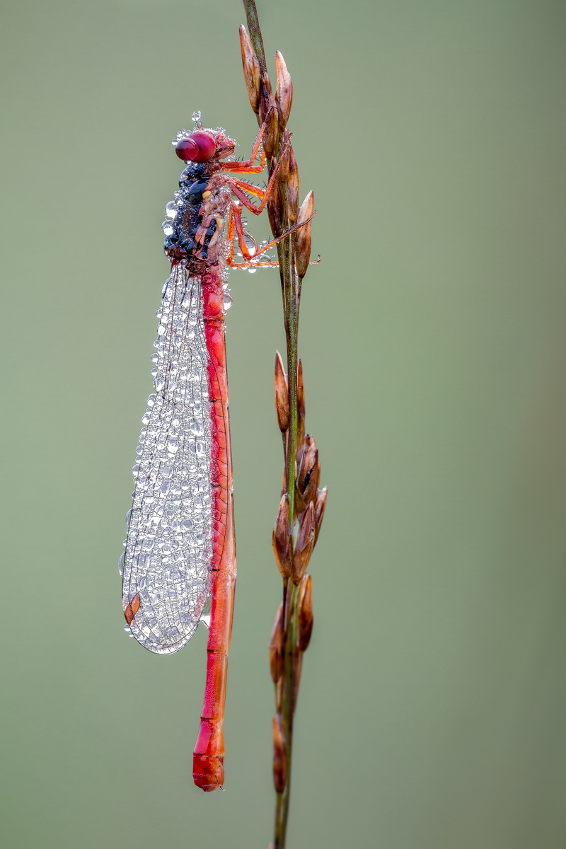 D7_25992-Bearbeitet - Kopie.jpg