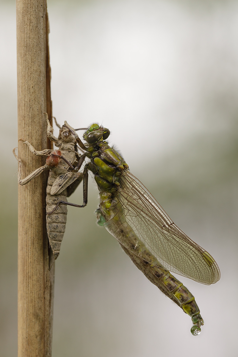 20130510_0268-69-Kopie.jpg