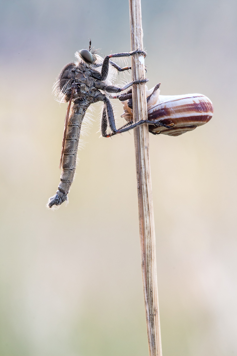 _MG_9083-Bearbeitet Kopie.jpg