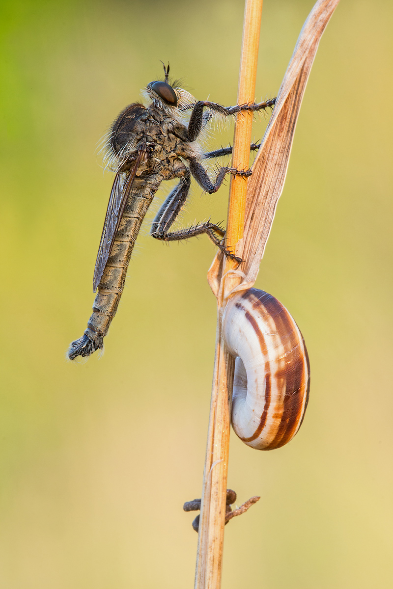 _MG_9205-Bearbeitet Kopie.jpg