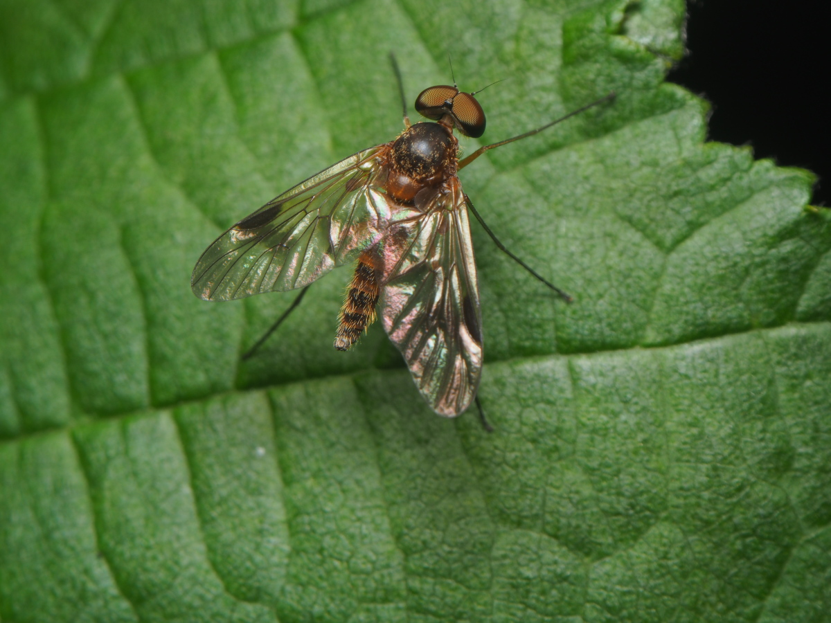 P9162917a.JPG