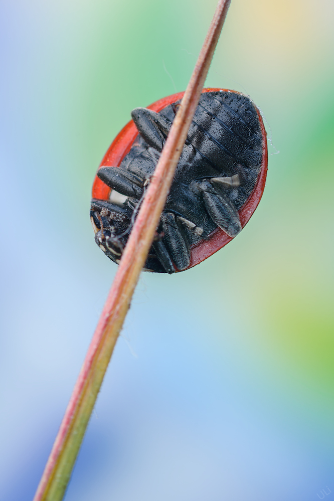 D90_4239_666x999_AG.jpg