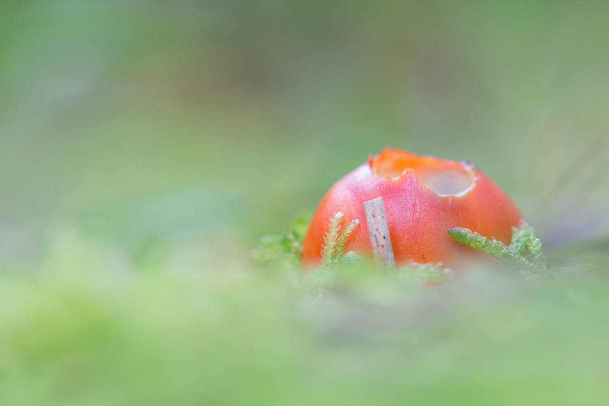 comp_IMG_0120-2.jpg