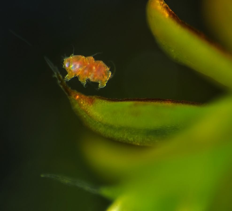 DSC_0100.JPG