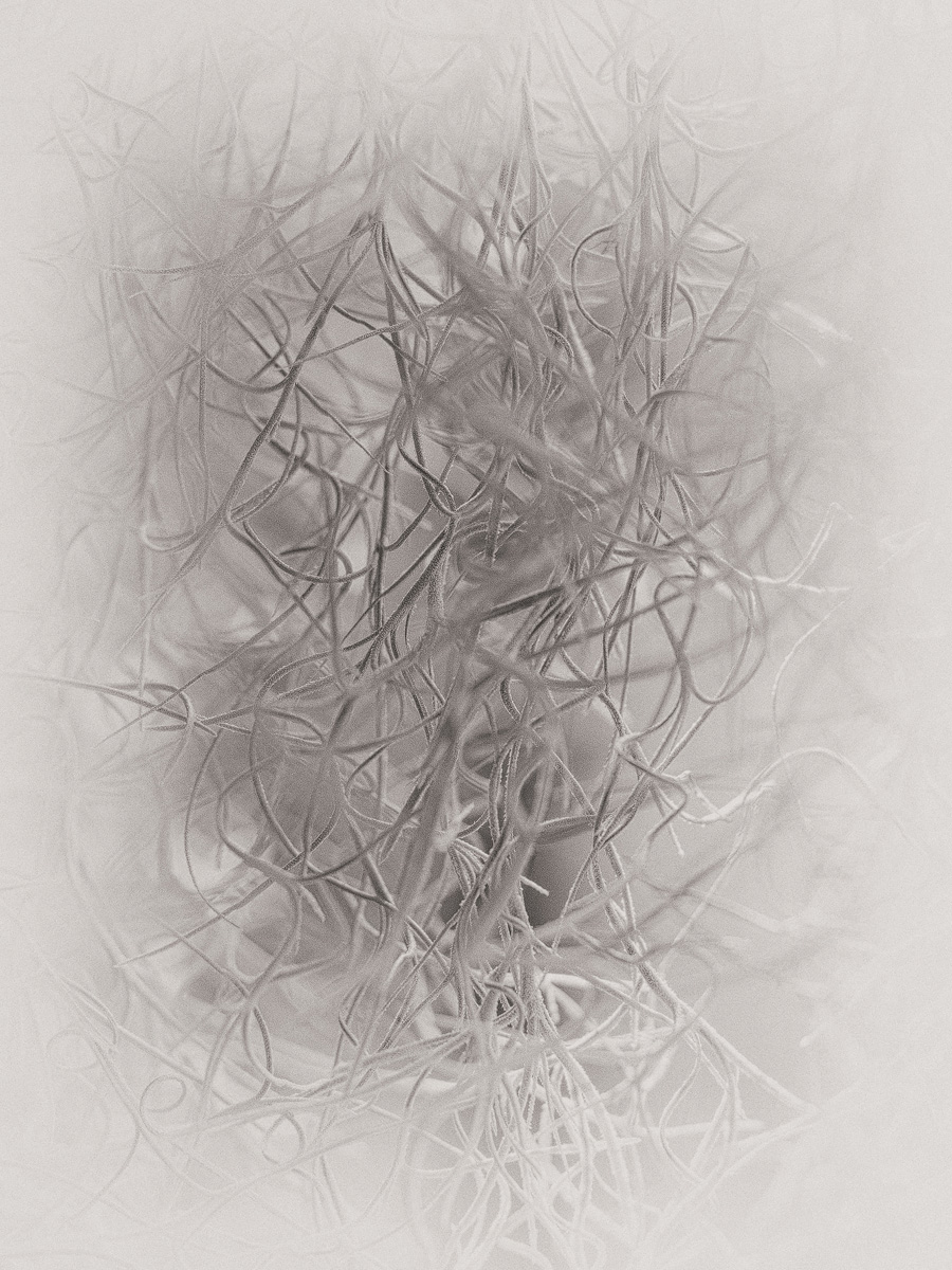 P9144998-1-nik - verkl.jpg