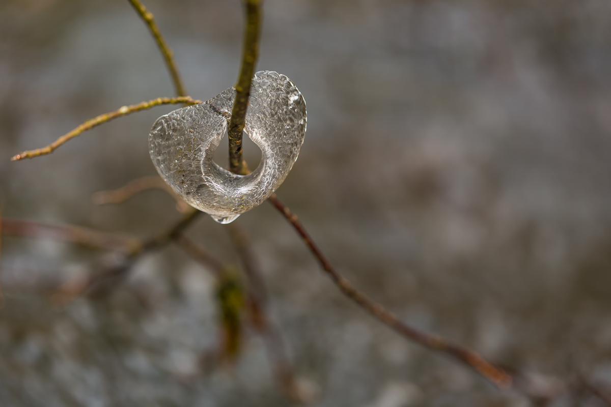 Eisherz 4 - 1 (1 von 1).jpg