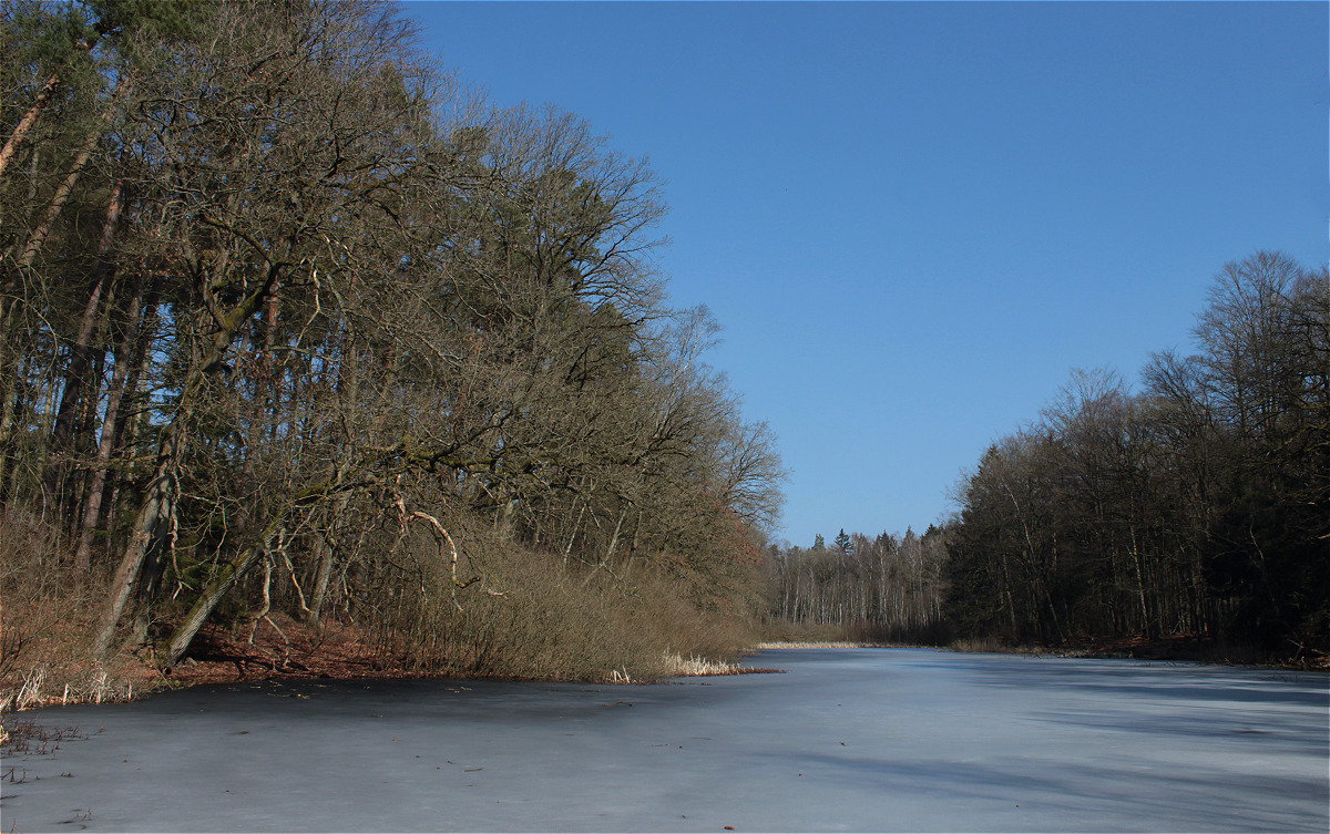 Sölkensee 50013139makro.jpg