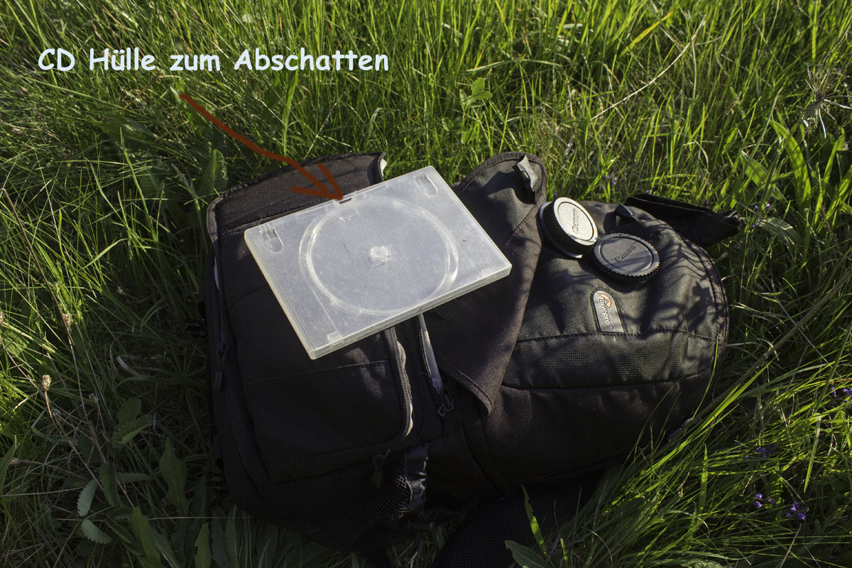 _MG_8535-Bearbeitet Kopie.jpg