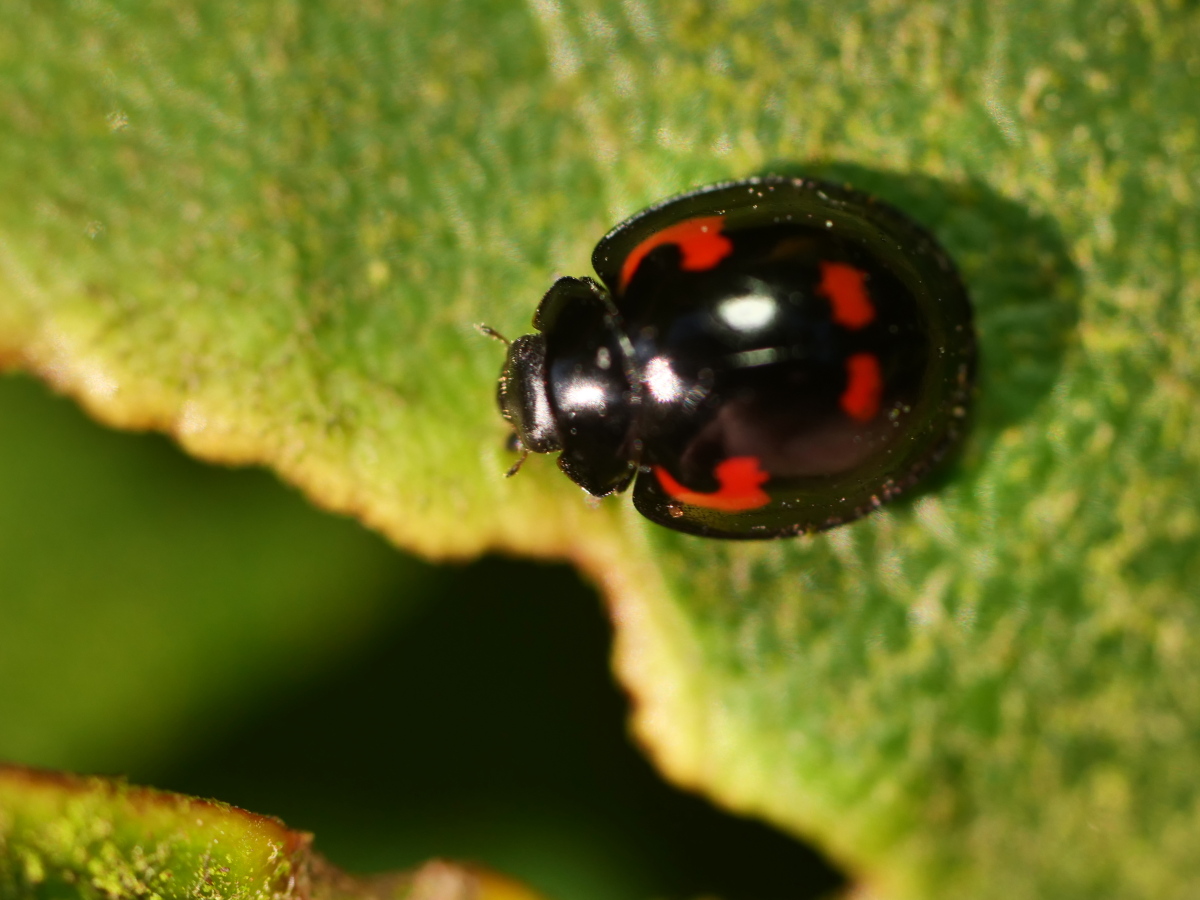 xP1645217.jpg
