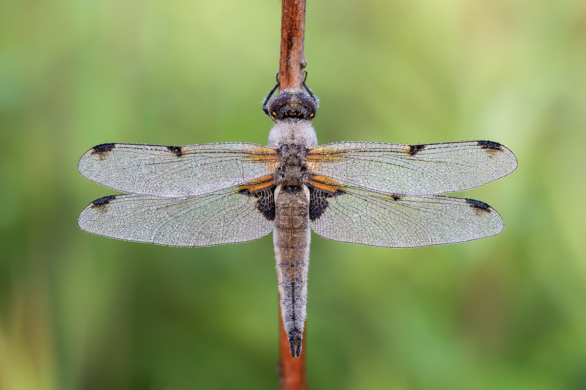 Mal ein Versuch III (1 von 1).jpg