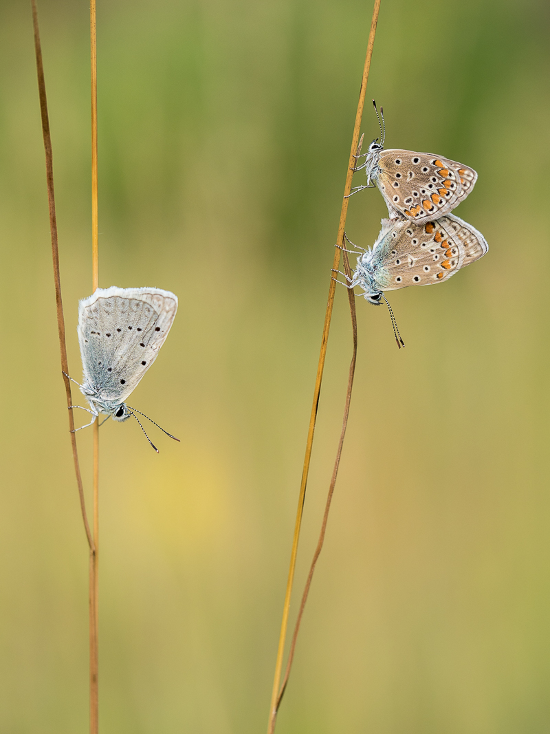 Trio (1 von 1)-2.jpg