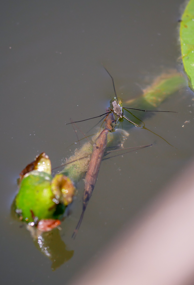 2018_07020044.jpg