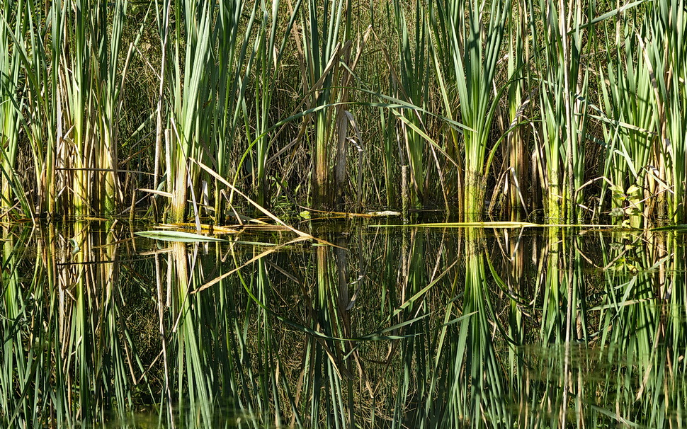 DSC07413 Natur Keration... kl.jpg