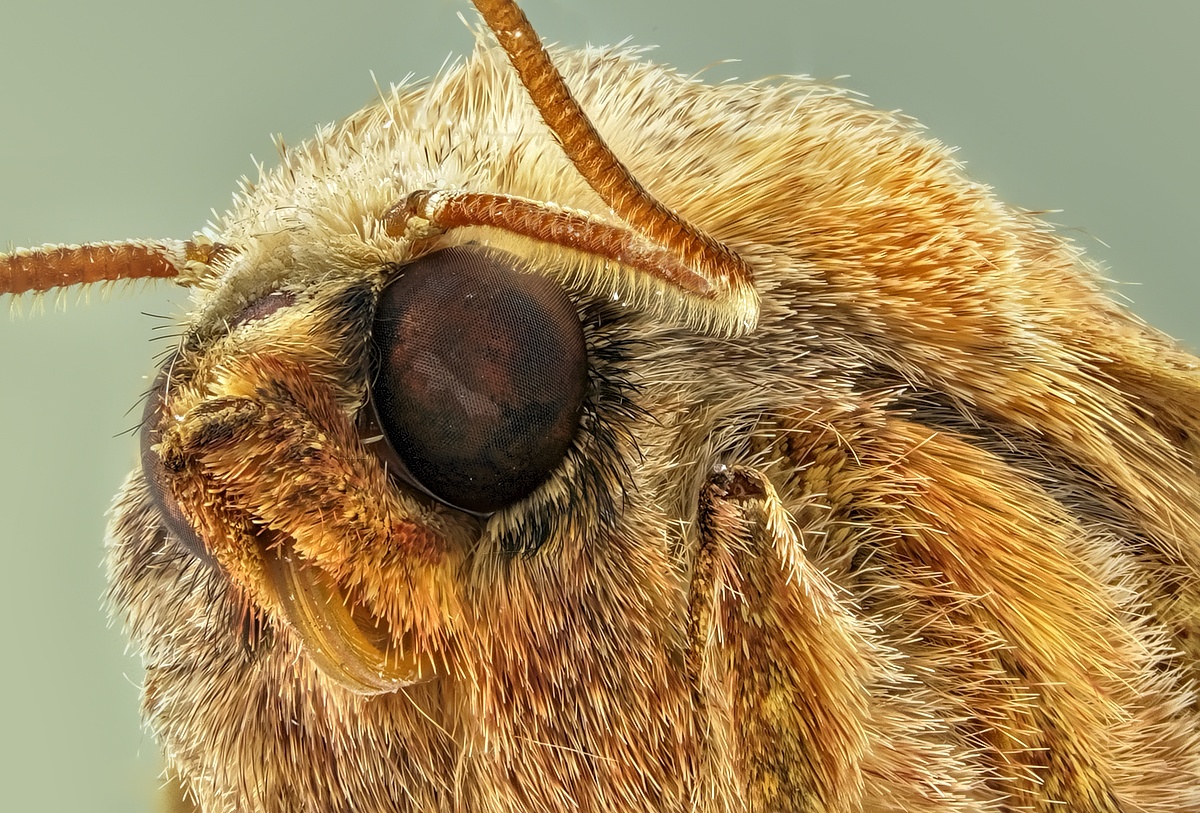 2018-10-06-15.03.45 ZS retouched.jpg