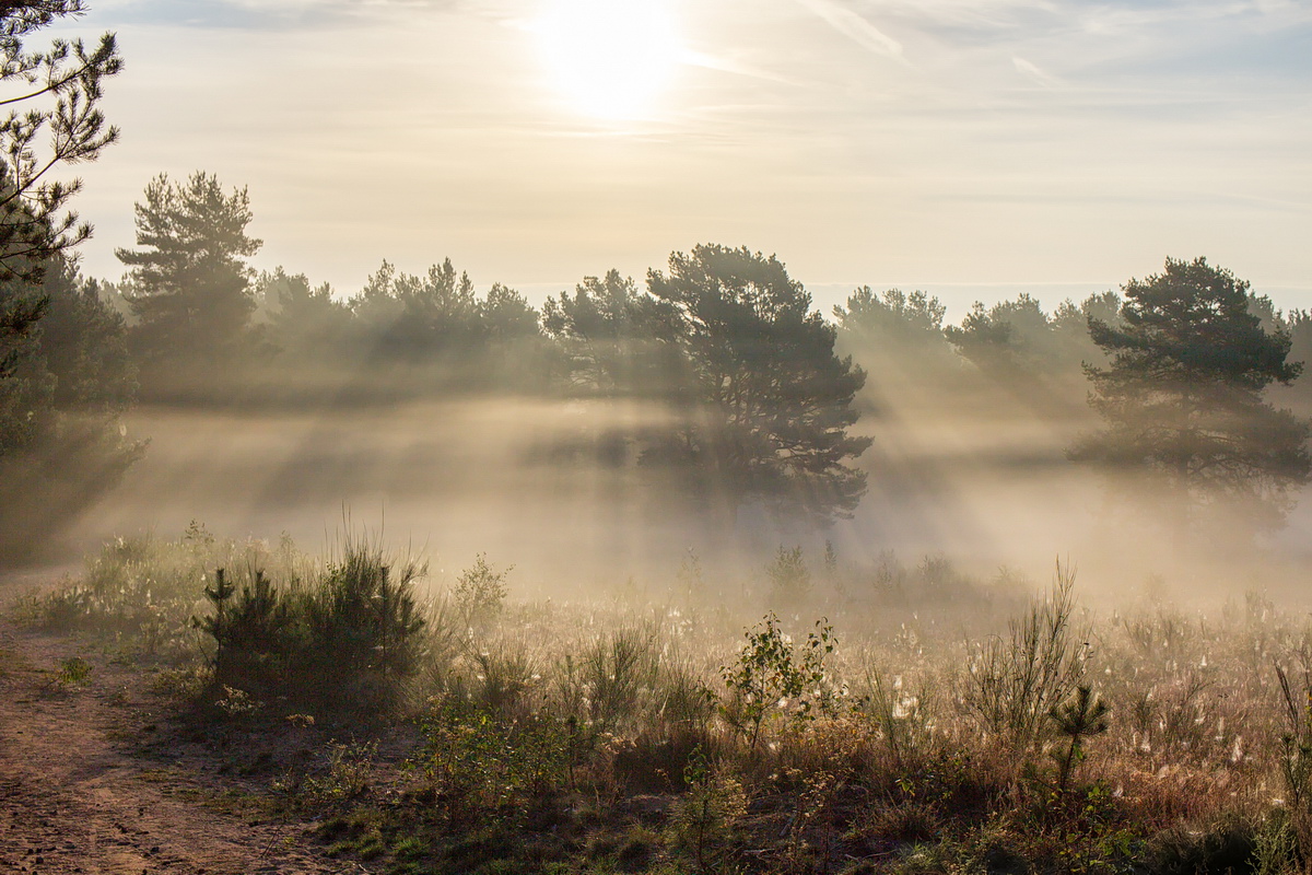 600D34217-HDRAA_2.jpg