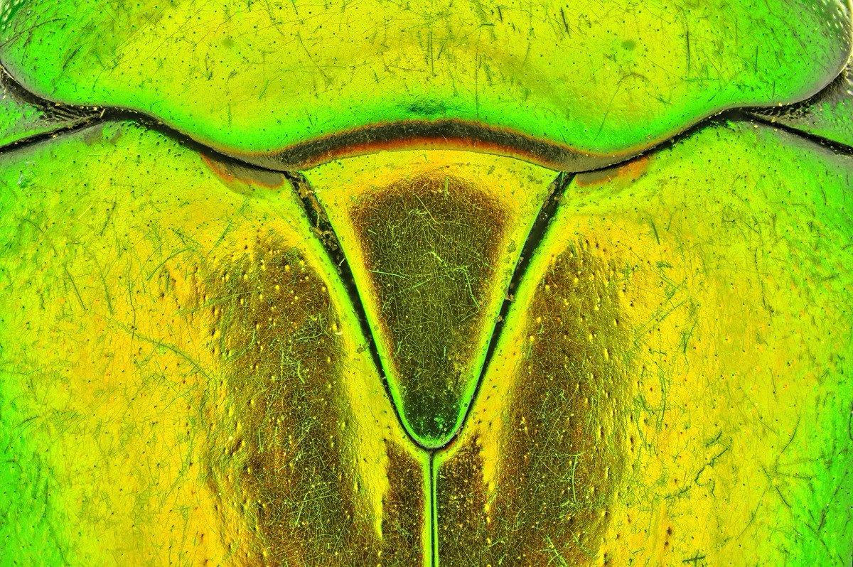 2018-10-15-18.19.33 ZS DMap.jpg