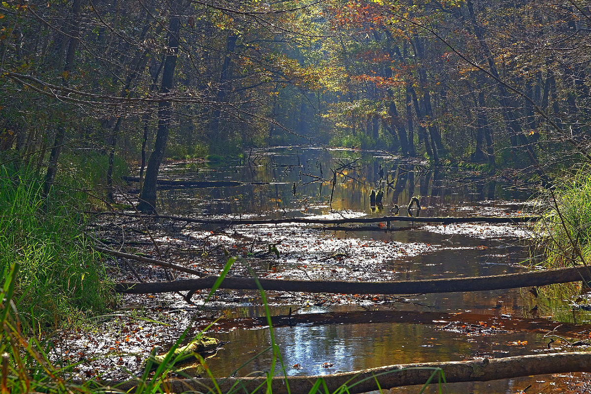 DSCF4770.jpg