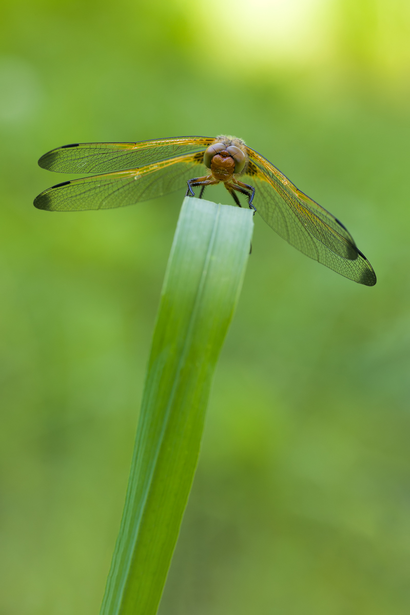 20130518_0410-254-2.jpg