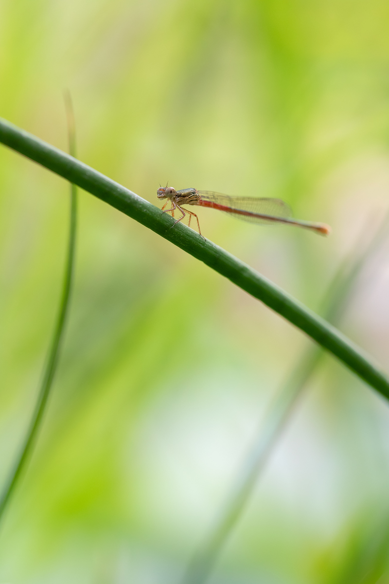 20180726_112---Kopie.jpg