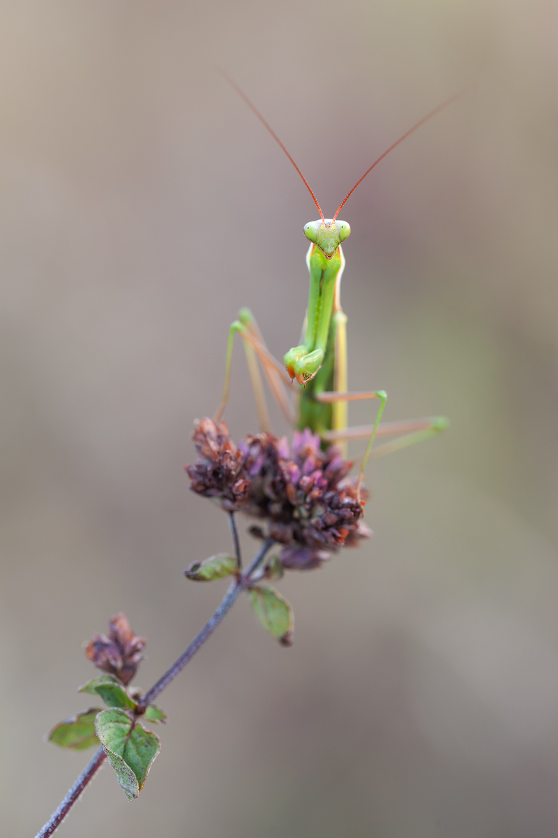 20160901_0108---Kopie.jpg
