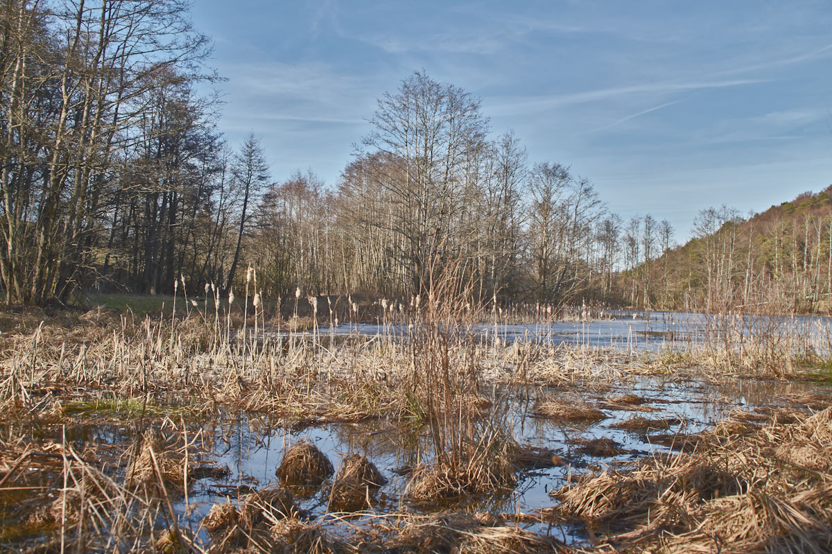 wasser_1-2.jpg