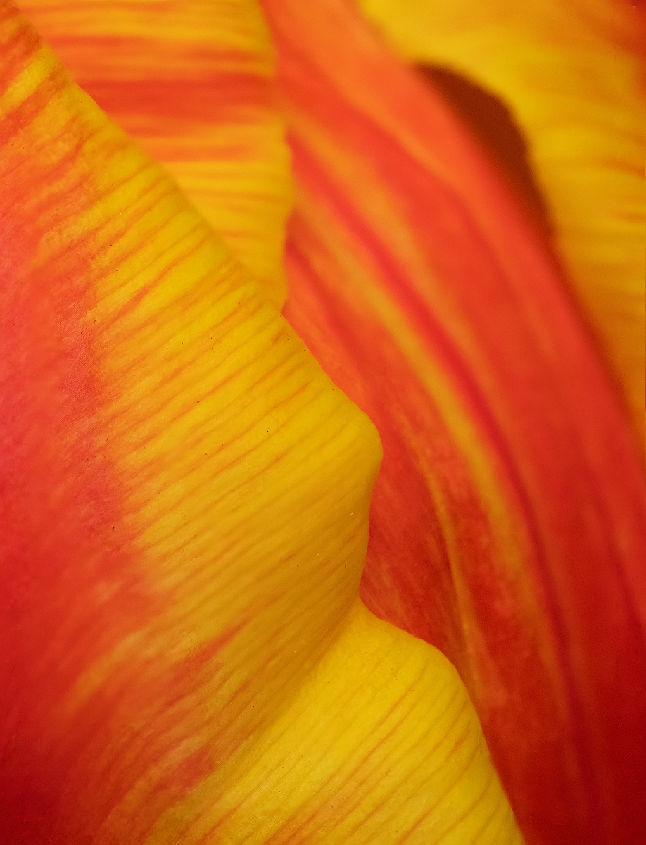 20190315_32---Kopie.jpg