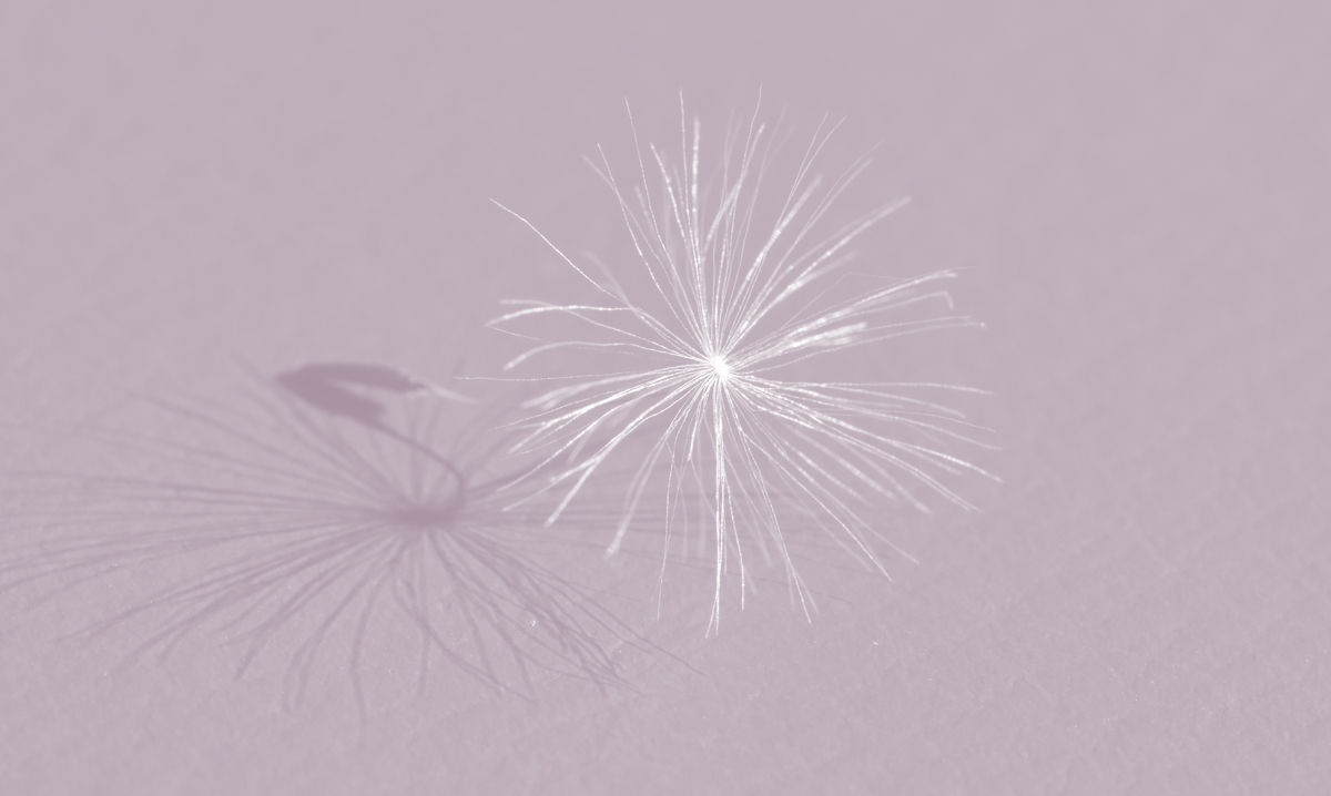 2016_05080047 - Kopie.jpg