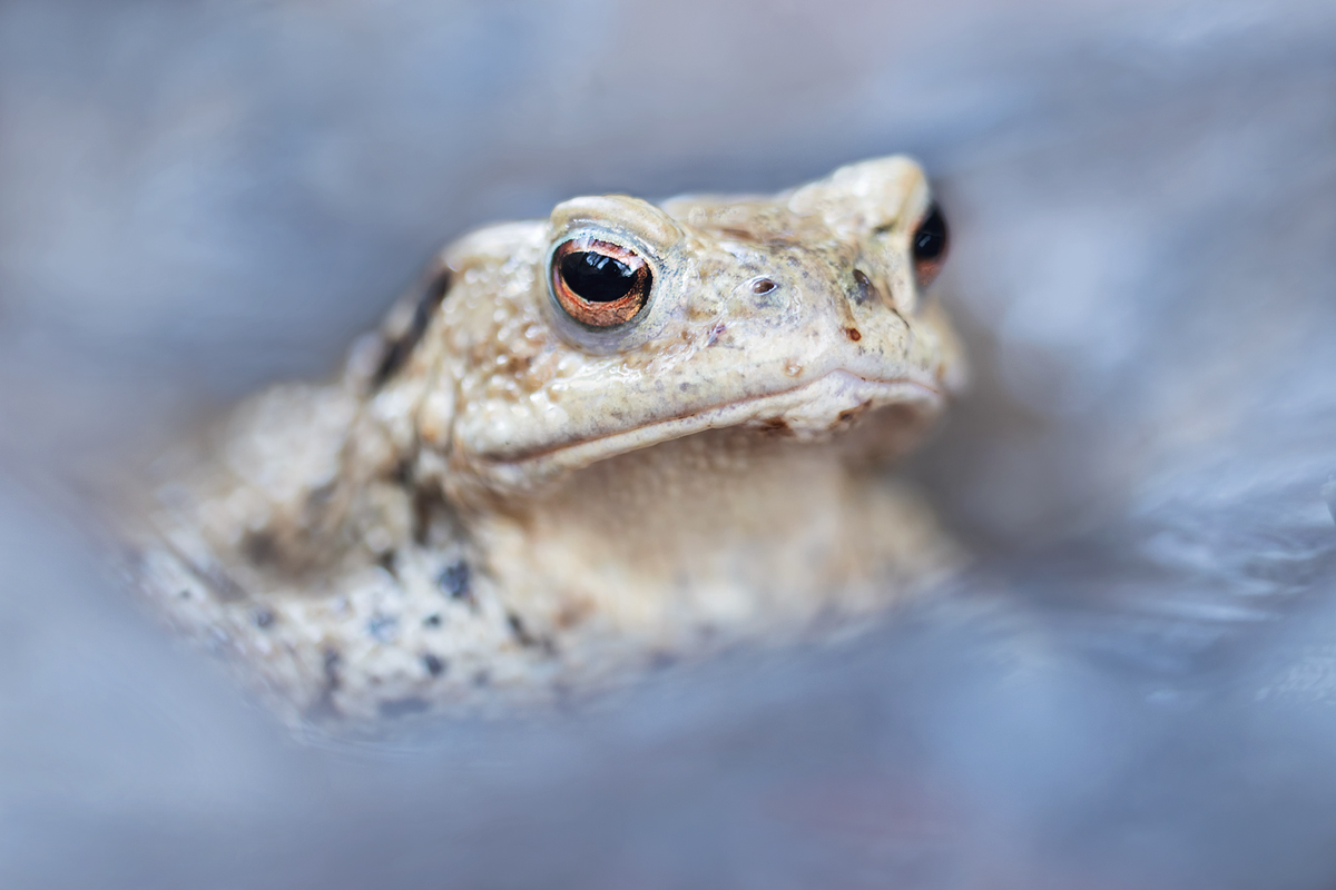 Portrait Kopie.jpg