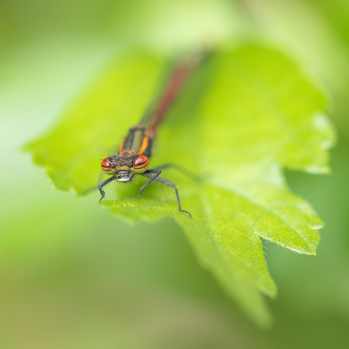 20190426_57-1483-gedreht.jpg