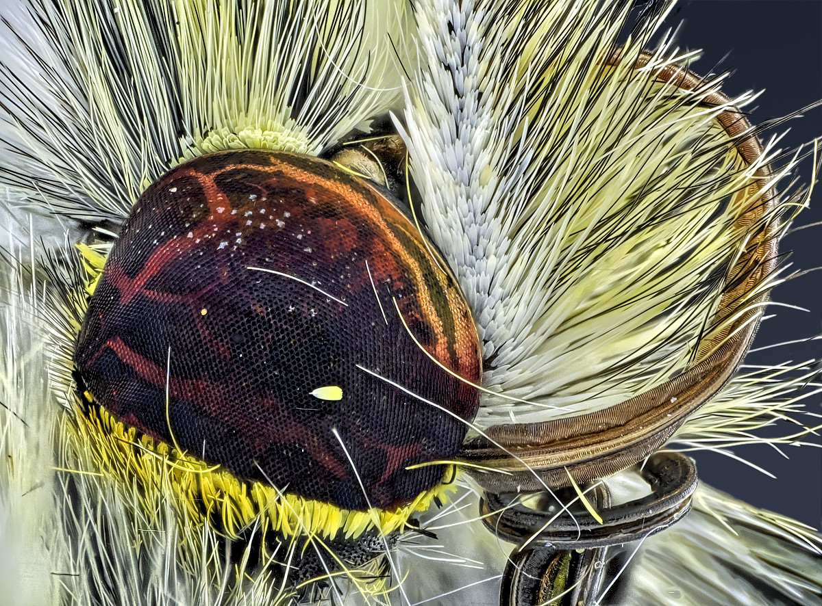 2019-04-28-10.11.50 ZS retouched.jpg