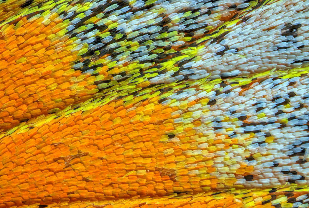 2019-04-28-14.59.13 ZS DMap.jpg