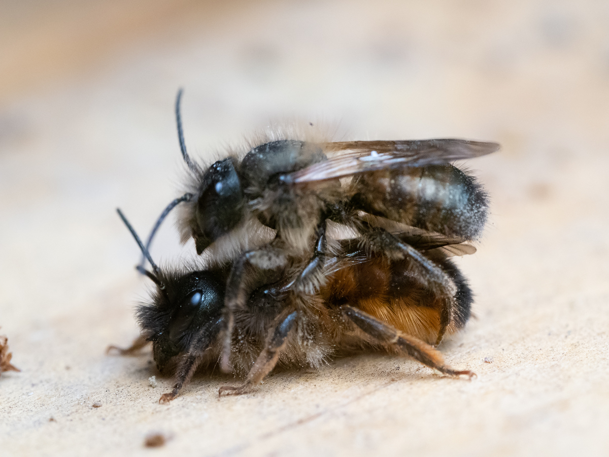 20190416_1534---Kopie.jpg