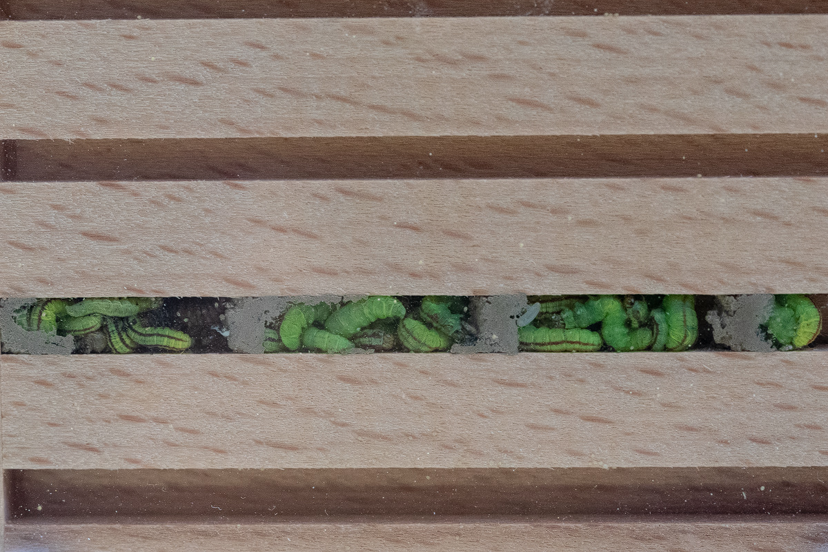20190424_13---Kopie.jpg