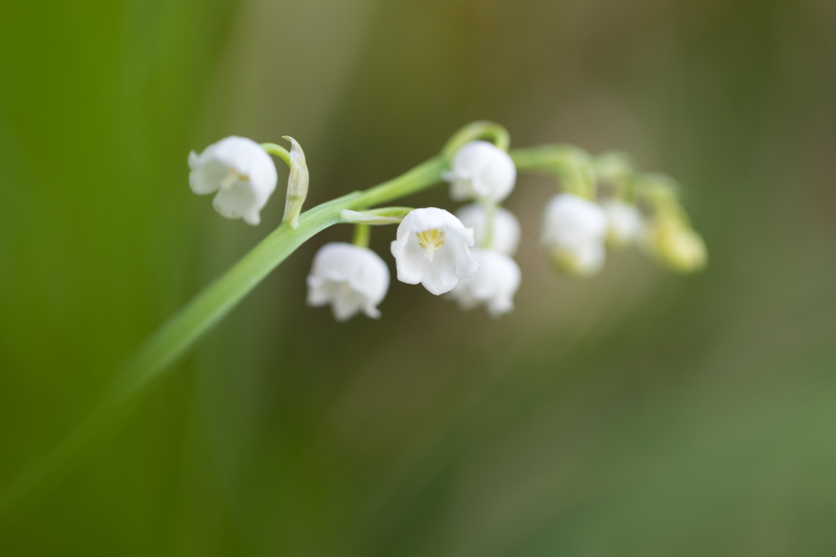 20190501_38---Kopie.jpg