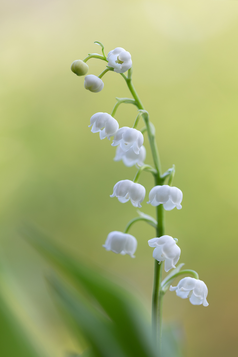 20190501_84---Kopie.jpg