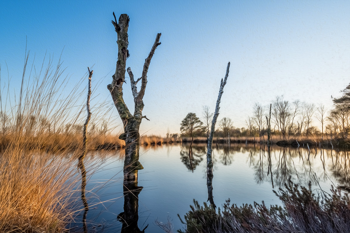 0LY08530-HDR-Bearbeitet_1_Tag_Öl - Kopie.jpg