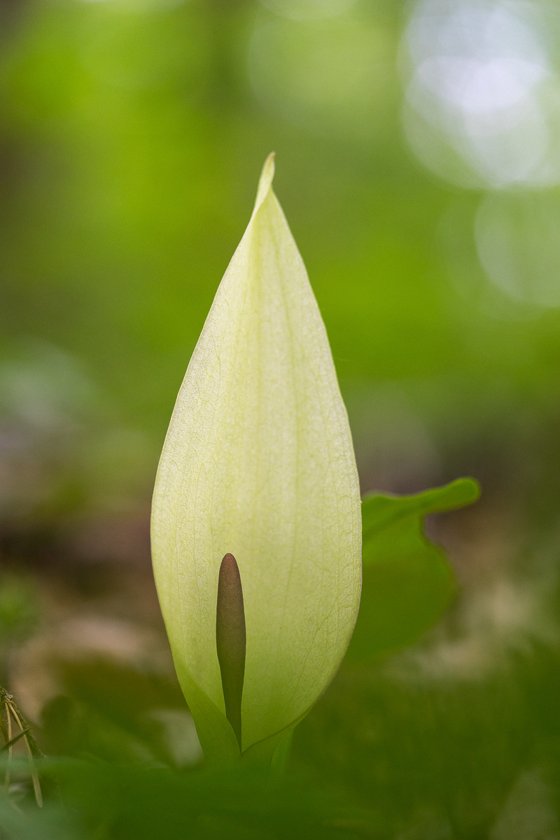 20190517-183444-original.jpg
