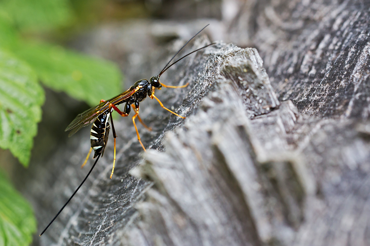 5D3_9779Nx1.jpg
