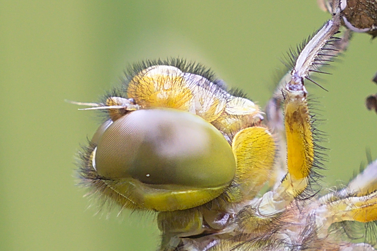 80D37367 - Kopie0.jpg