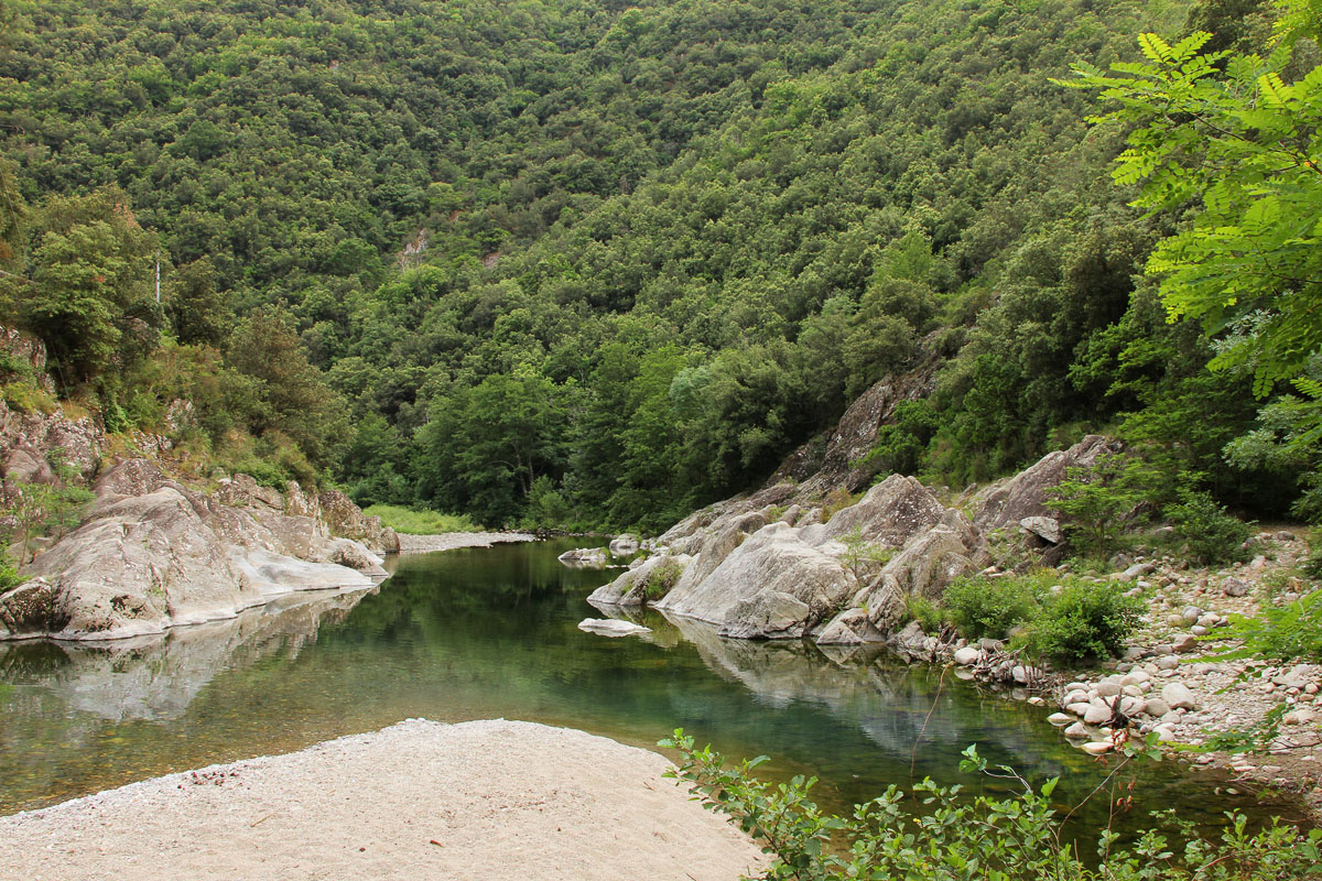 Habitatbild_01_IMG_7228.jpg