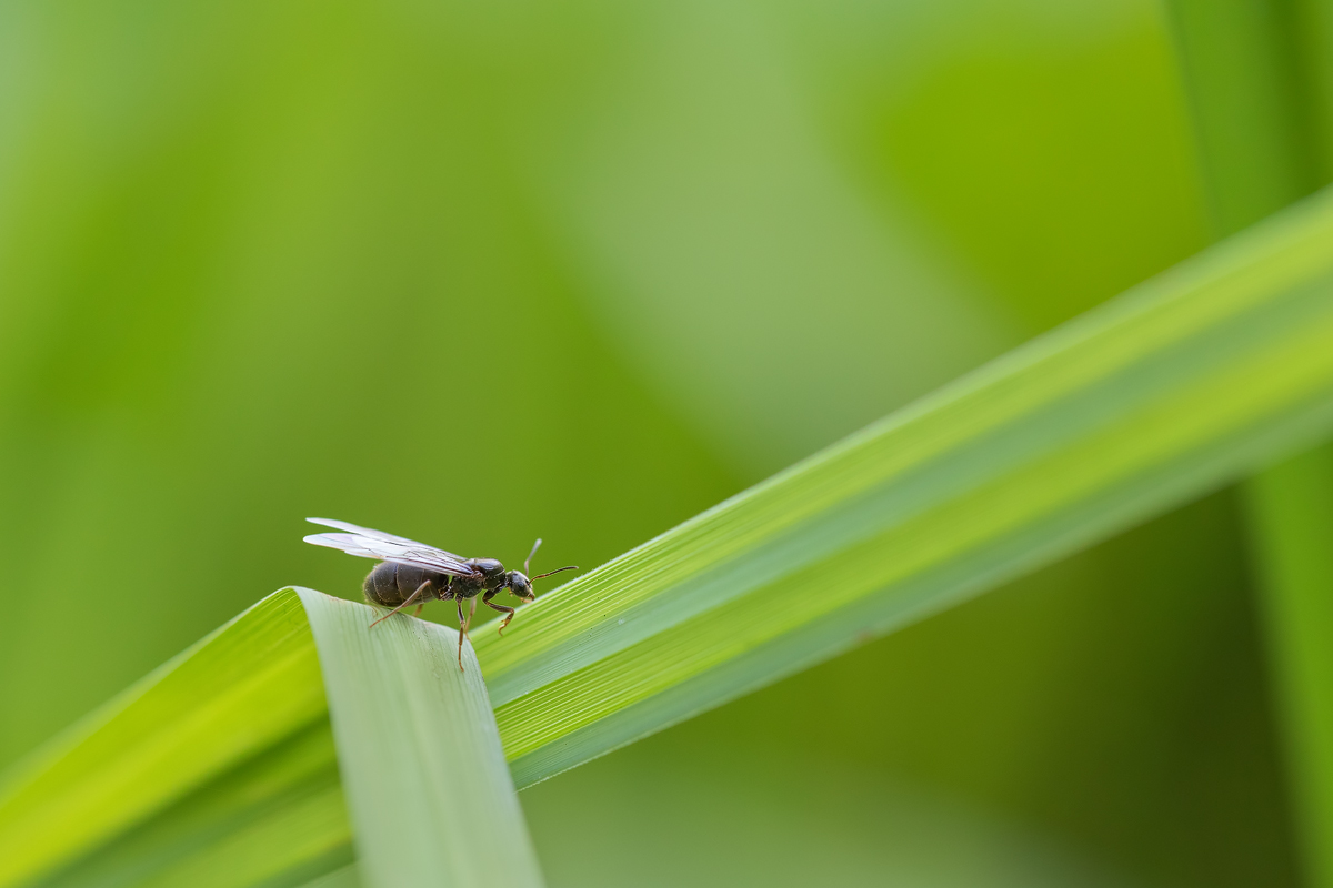 20190717_258---Kopie.jpg