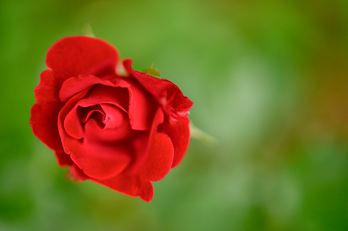DSC_6916xxx9.jpg