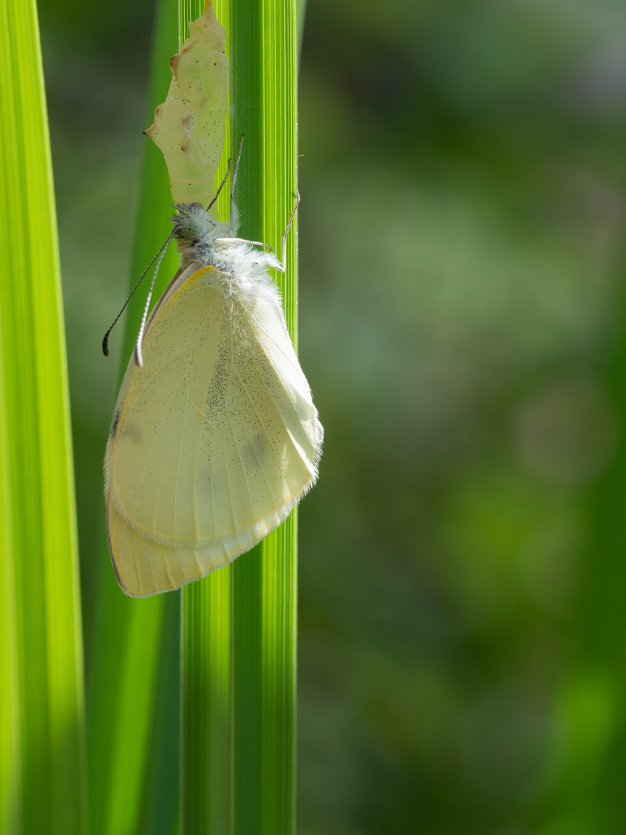 20190804_1937---Kopie.jpg