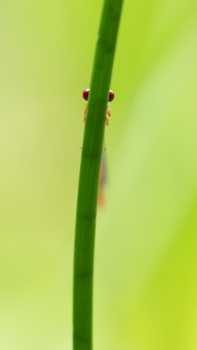 20190813_7---Kopie.jpg