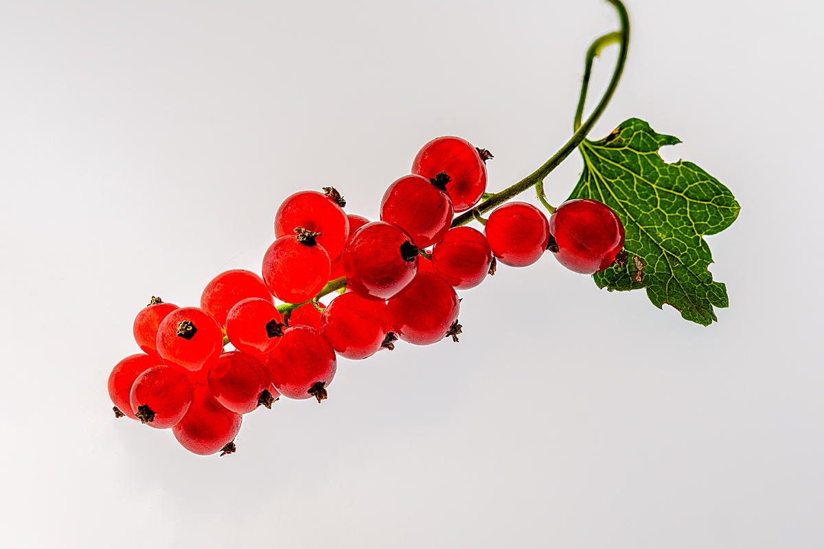 2019-08-15 18-03-55 (B,Radius8,Smoothing4)-Bearbeitet.jpg